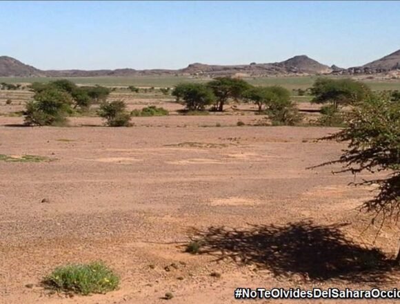 Unidades del ELPS atacan las posiciones de las fuerzas de ocupación en las regiones de Laagad, Steilat Uld Bugerin y Um Dagan | Sahara Press Service