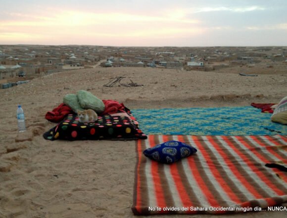 1410934_10202061721537748_96983902_o La Actualidad Saharaui: 22 de septiembre de 2019 ??