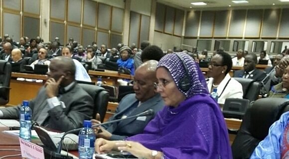 Parlamentaria saharaui expone la situación de los refugiados saharauis ante el Parlamento Panafricano | Sahara Press Service