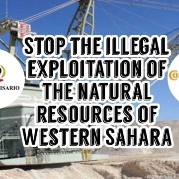 El POLISARIO advierte a la empresa alemana «Continental» que no se involucre en la explotación ilegal del fosfato saharaui | Sahara Press Service