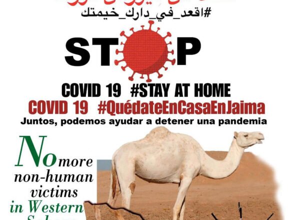 La Actualidad Saharaui: 12 de abril de 2020 ??