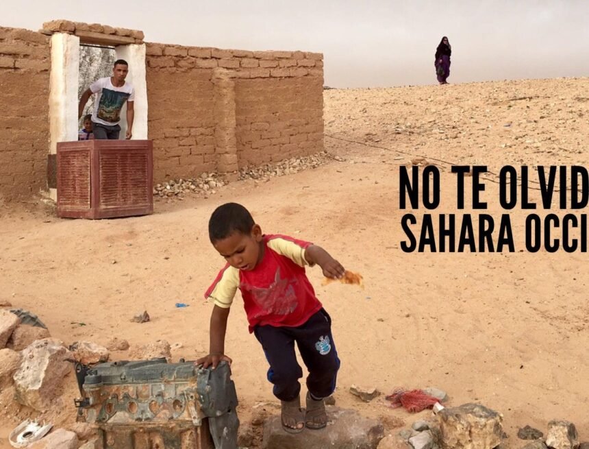 159971401_10222807821257275_2656119057180967017_n ¡LA ACTUALIDAD SAHARAUI! – 30/5/2023 – NOTICIAS del Sahara Occidental