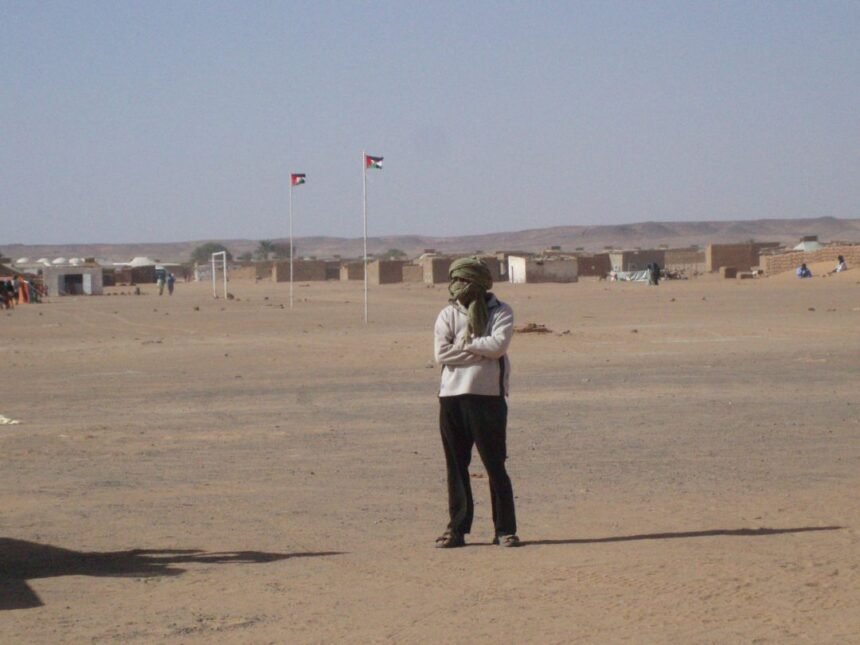 Preocupación por la situación en los campamentos de refugiados saharauis