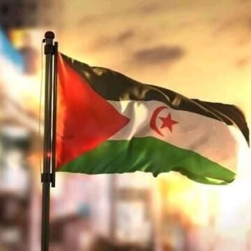 ¡ÚLTIMAS noticias – Sahara Occidental! | 10 de noviembre de 2020
