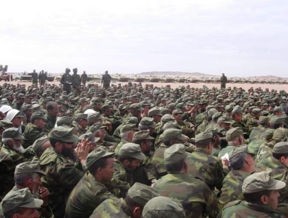 El Frente Polisario y Marruecos: estrategias de guerra