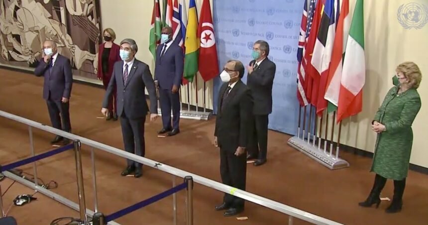 Dos países que reconocen a la RASD entran en el Consejo de Seguridad como miembros no permanentes