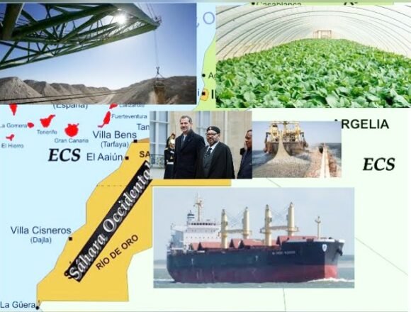 INVESTIGACIÓN | Lista de empresas que expolian el Sáhara Occidental