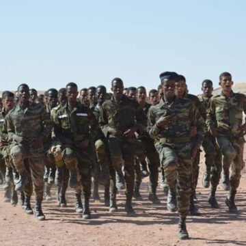Crece de manera excepcional el alistamiento al ejército saharaui