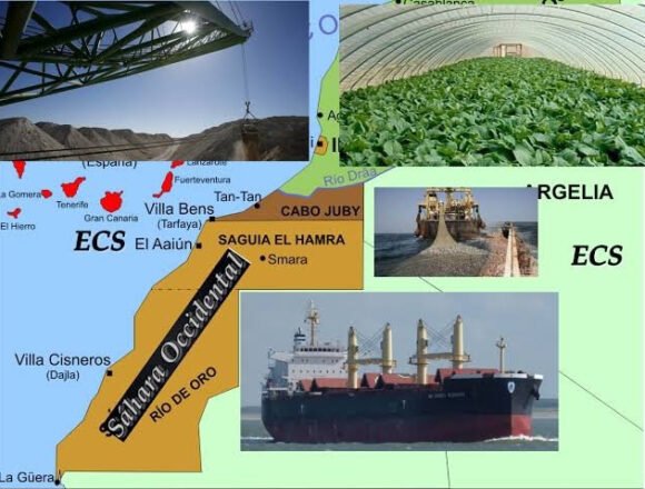 La multinacional alemana Continental anuncia su retirada de los territorios ocupados del Sáhara Occidental