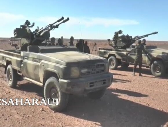 GUERRA EN EL SAHARA | Parte de guerra Nº174