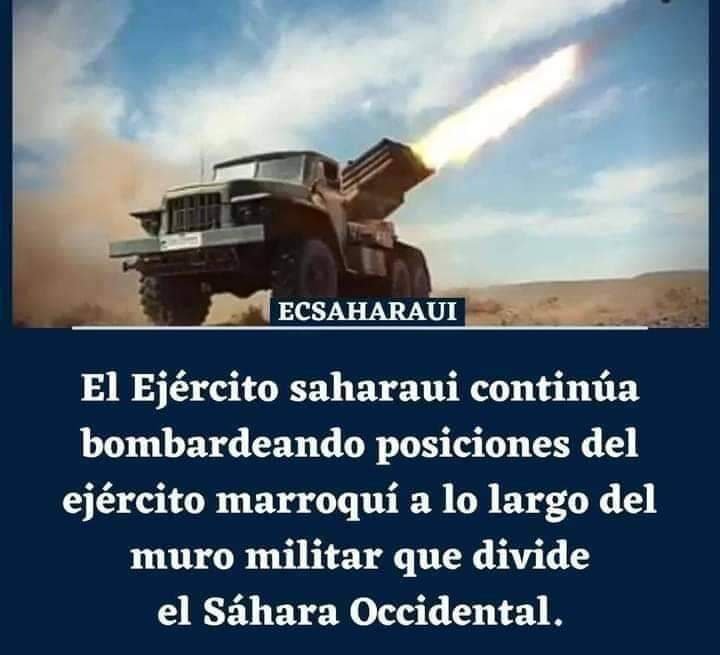 GUERRA EN EL SAHARA | Parte de guerra Nº167