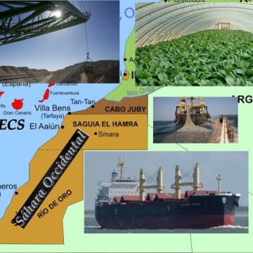1627621466345081-0 REPORTAJE | Las empresas que saquean el Sáhara Occidental: el sostén de la ocupación