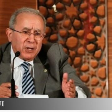 ¡ÚLTIMAS noticias – Sahara Occidental! 24 de agosto de 2021 ?? ?? ??