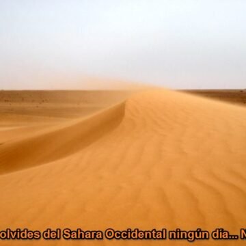 La Actualidad Saharaui: 29 de mayo de 2020 ??