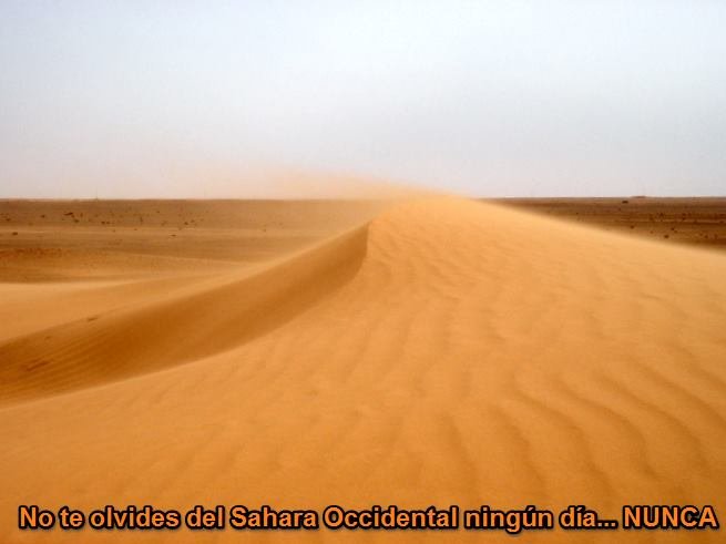 16298946_10210688881211348_5228768117177227079_n La Actualidad Saharaui: 29 de mayo de 2020 ??
