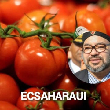 La Unión Europea declina investigar sobre el tomate saharaui etiquetado como marroquí