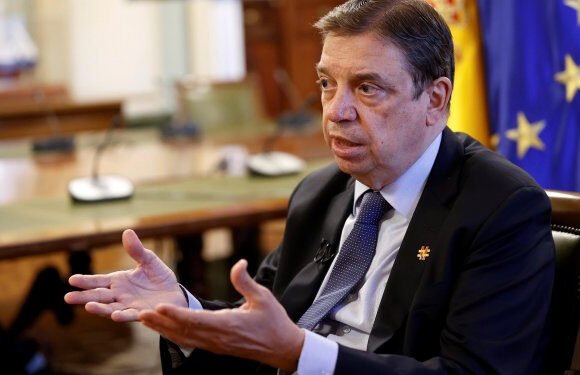 España apuesta por recurrir la sentencia del TUE sobre el Sáhara Occidental para contentar a Marruecos