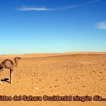 La Actualidad Saharaui: 3 de mayo de 2020 ??