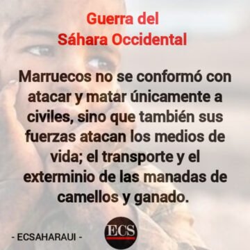 Los ataques marroquíes dejaron una treintena de civiles muertos en el Sáhara Occidental desde el inicio de la guerra