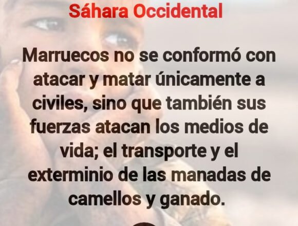 Los ataques marroquíes dejaron una treintena de civiles muertos en el Sáhara Occidental desde el inicio de la guerra
