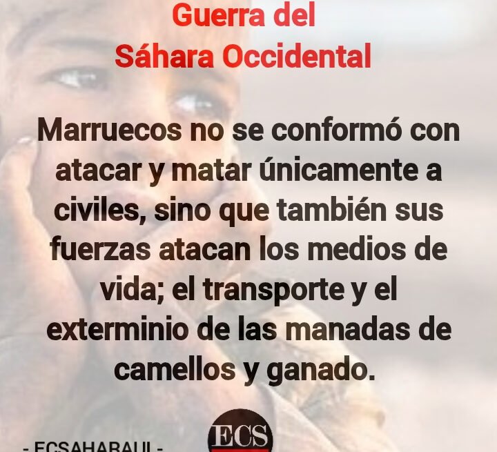 Los ataques marroquíes dejaron una treintena de civiles muertos en el Sáhara Occidental desde el inicio de la guerra