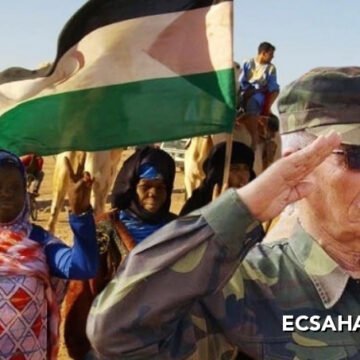 La Secretaría Nacional anuncia la creación del Comité Preparatorio del 16º Congreso del Frente Polisario (relación de las personas miembros del Comité)