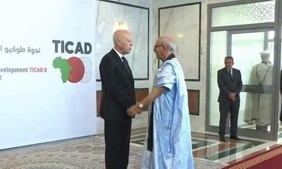 Sindicato de prensa tunecino condena la campaña de difamación marroquí contra Túnez