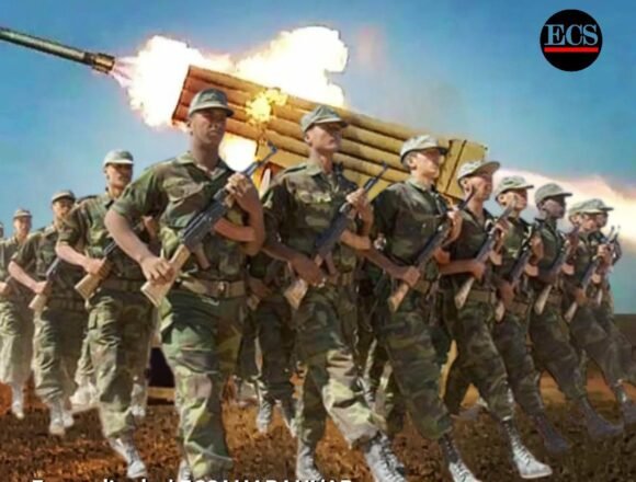 1684276600529534-0 Las unidades del ELPS hostigan al enemigo en el sector de Hauza | Sahara Press Service