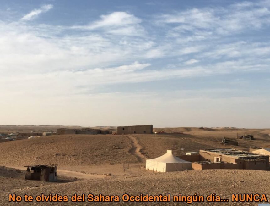 ⚡️ ?? La #ActualidadSaharaui HOY, 2 de abril de 2019 ??