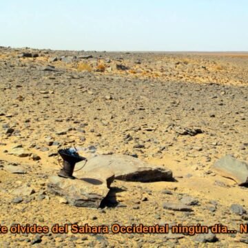 La Actualidad Saharaui: 13 de mayo de 2020 (fin de jornada) ??