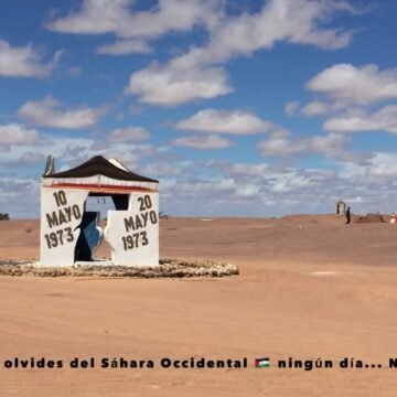 Al conmemorarse el 49º Aniversario de la Revolución Gloriosa del 20 de Mayo: los saharauis decididos a seguir luchando en todos los frentes para imponer la independencia y la soberanía nacional | Sahara Press Service