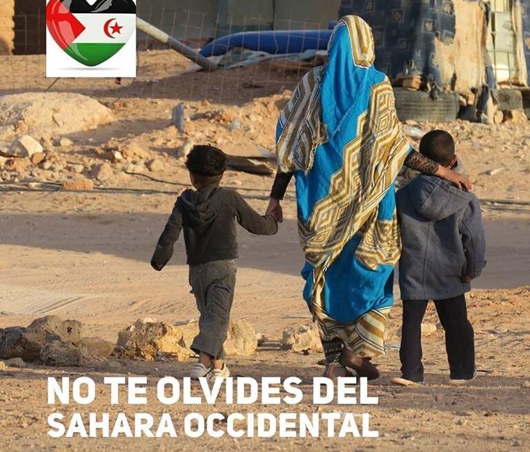 ⚡️ ?? La #ActualidadSaharaui HOY, 5 de enero de 2019 ??