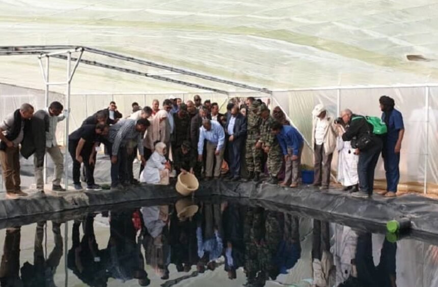 190227-pres-RASD-transfert-alevins-27187-Copie-1320x564 Algérie : un projet pilote de pisciculture dans un camp de réfugiés sahraouis – Le Journal International