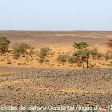 2012-octubre-492-scaled La #ActualidadSaharaui: 26 de julio de 2021 ?? ?? ??