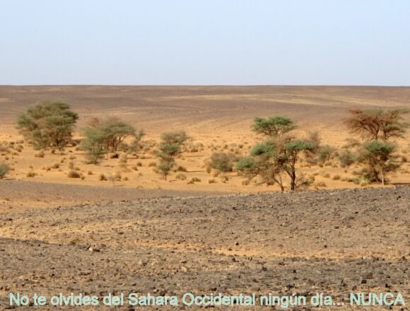 La #ActualidadSaharaui: 26 de julio de 2021 ?? ?? ??