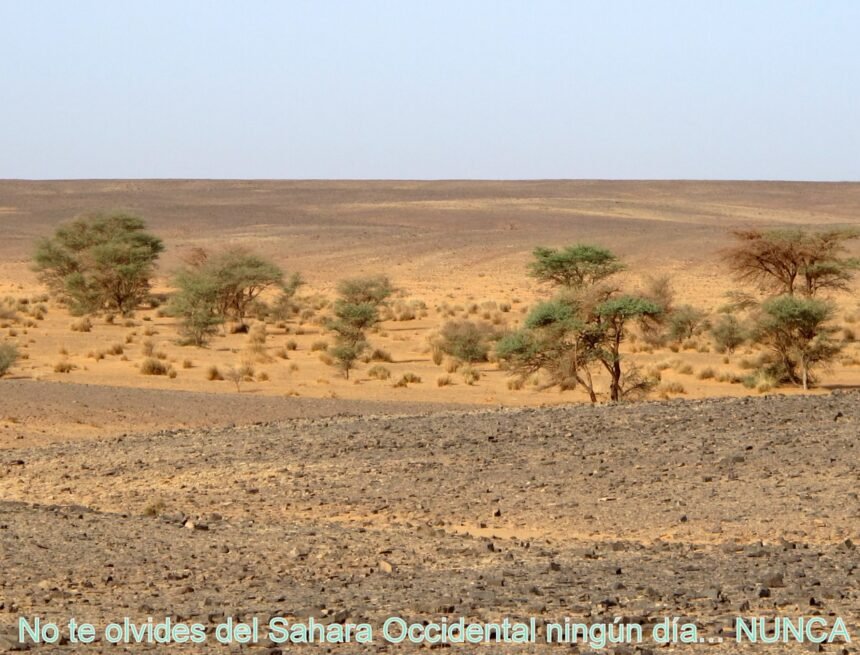 La #ActualidadSaharaui: 26 de julio de 2021 ?? ?? ??