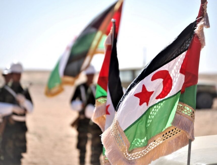 Los saharauis creen que el alto el fuego ya no es válido y proponen renegociarlo | Público