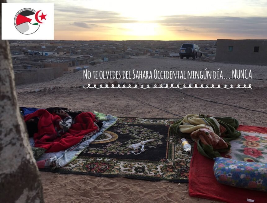 20690279_10212449349021943_727204125632093754_o La Actualidad Saharaui de HOY, 25 de julio de 2019 ??