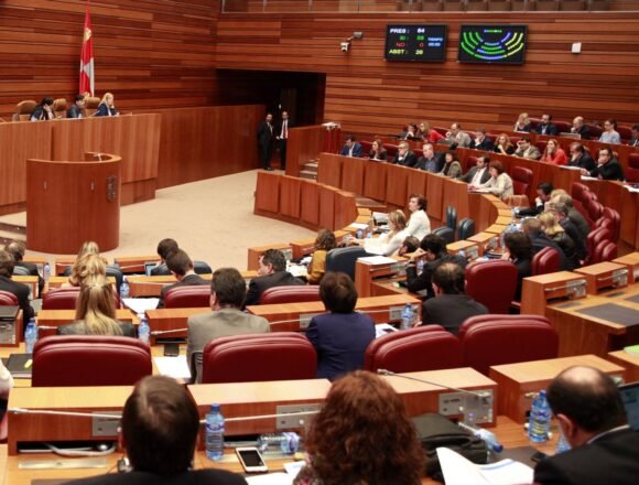 Las Cortes de Castilla y León piden apoyo para el pueblo saharaui excepto Vox