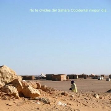 Más #ActualidadSaharaui del 23 de abril de 2019 ????