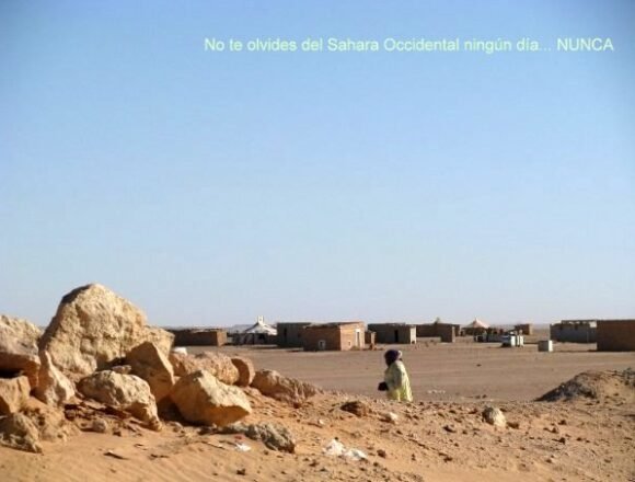 Más #ActualidadSaharaui del 25 de abril de 2019 ????