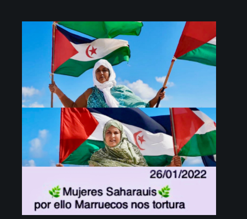 ¡ÚLTIMAS noticias – Sahara Occidental! 26 de enero de 2022 ?? ?? ??