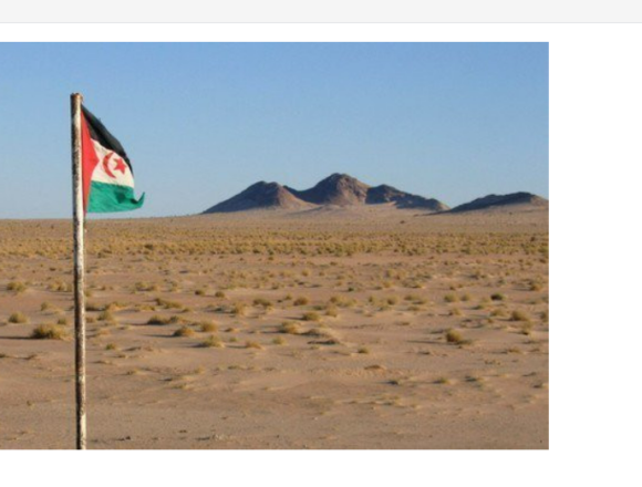 L’UE interpellée sur l’illégalité des activités économiques au Sahara occidental