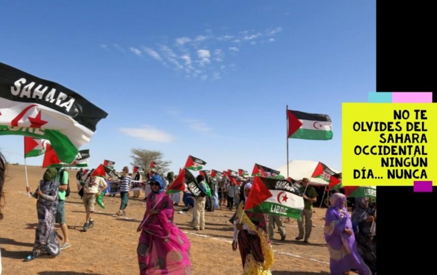 ¡La ACTUALIDAD SAHARAUI! ÚLTIMAS NOTICIAS del Sahara Occidental – 14/12/2022