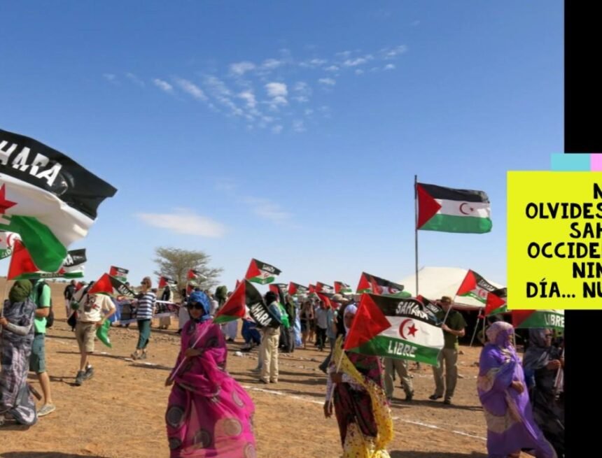 ¡LA ACTUALIDAD SAHARAUI! – 1/9/2023 –NOTICIAS del Sahara Occidental