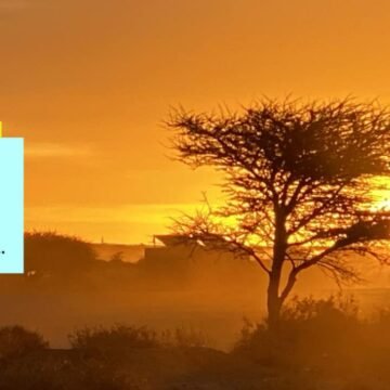 269940443_10224513905868324_7629104882549150460_n ¡ÚLTIMAS noticias – Sahara Occidental! 31 de diciembre de 2021 ?? ?? ??