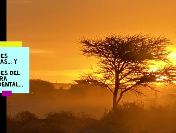 ¡LA ACTUALIDAD SAHARAUI! 25 de diciembre de 2021 ?? ?? ??