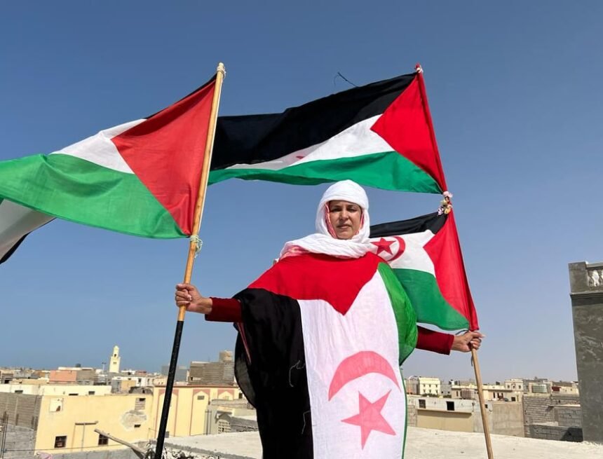 273487176_676712073517254_1165853892503273364_n ¡Sahara Occidental! BOLETÍN DE ÚLTIMAS noticias del 10 de febrero de 2022 ?? ?? ??