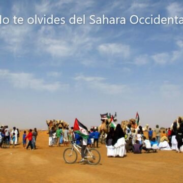 ¡LA ACTUALIDAD SAHARAUI! – 19/9/2023 – NOTICIAS del Sahara Occidental