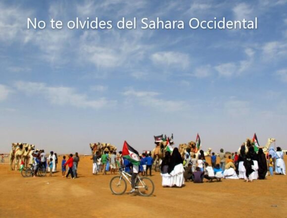 275555867_10224896750439199_2957150586291825676_n ¡LA ACTUALIDAD SAHARAUI! – 19/9/2023 – NOTICIAS del Sahara Occidental